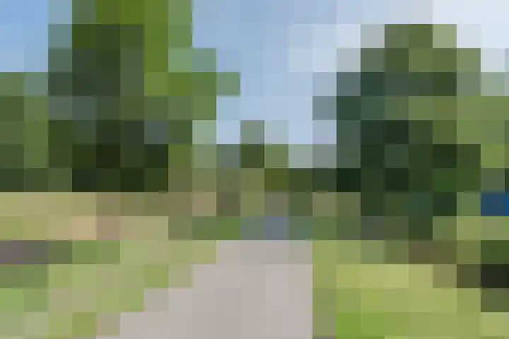 Else Mauhslaan 97 Den Haag thumbnail 52