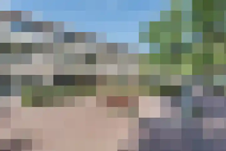 Else Mauhslaan 97 Den Haag thumbnail 53