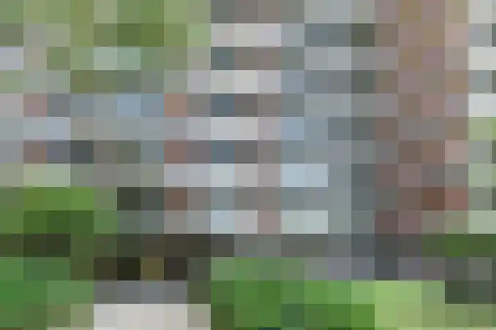 Else Mauhslaan 97 Den Haag thumbnail 6