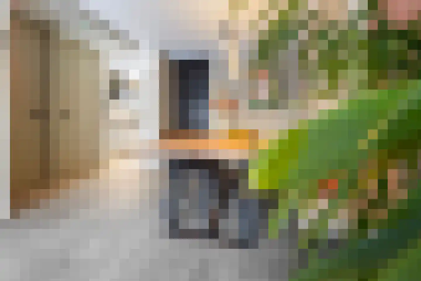 Else Mauhsstraat 145 Hengelo thumbnail 15