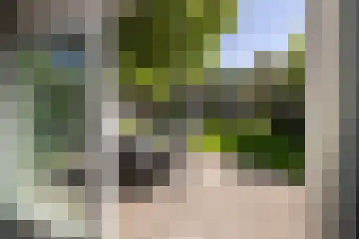 Else Mauhsstraat 17 Hengelo thumbnail 15