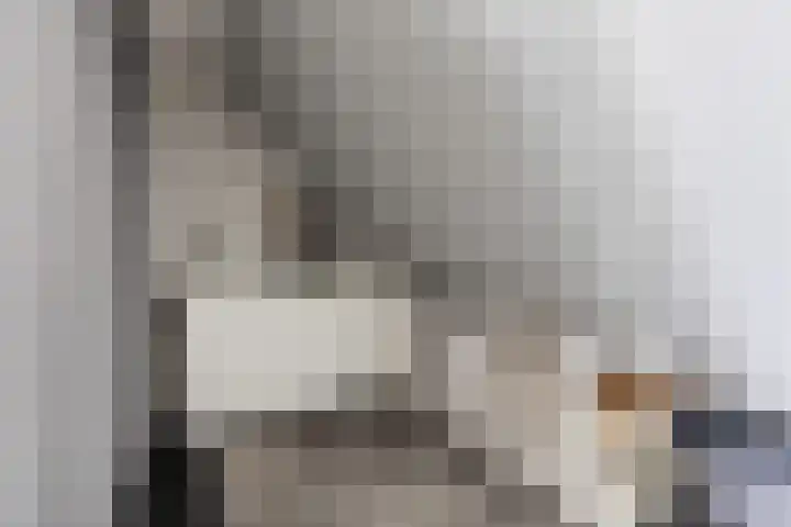 Else Mauhsstraat 19 Zaandam thumbnail 31