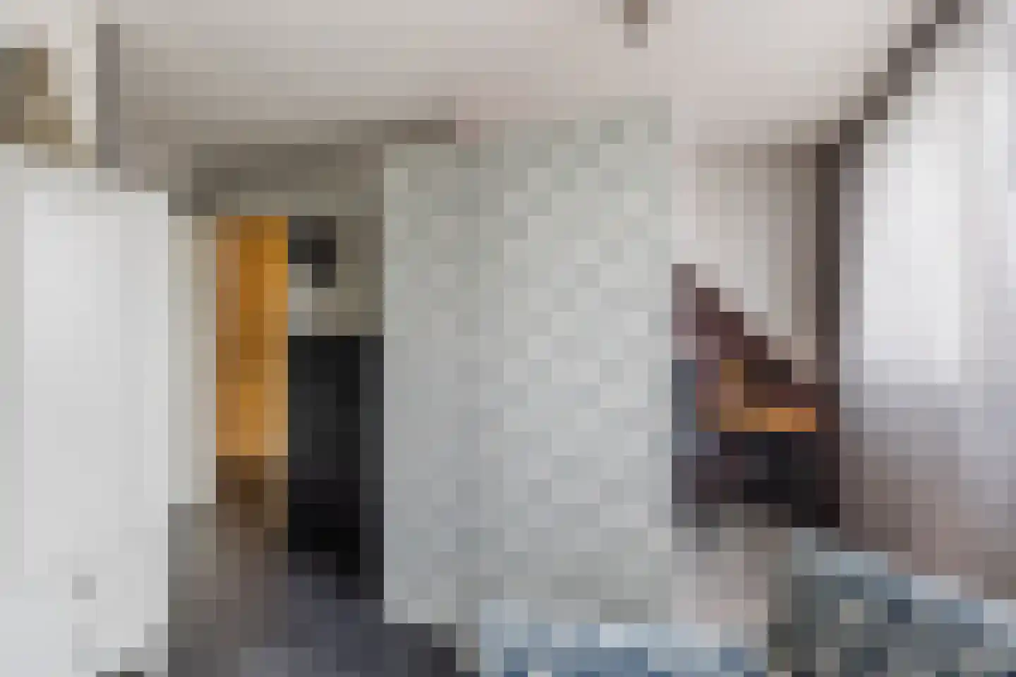 Else Mauhsstraat 19 Zaandam thumbnail 35