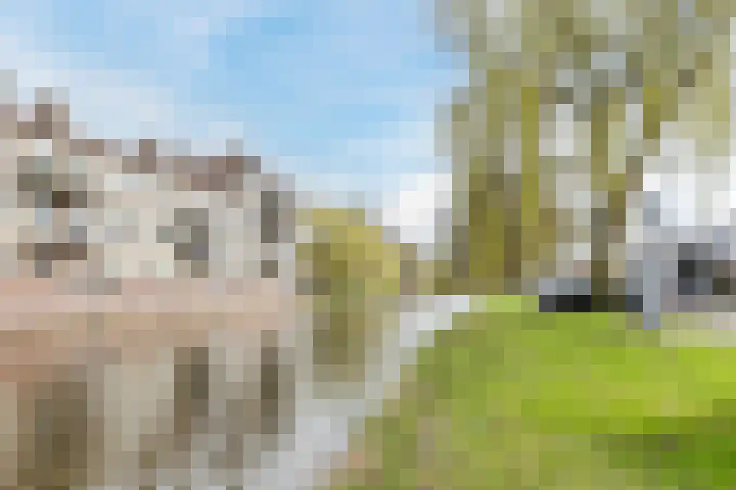 Else Mauhsstraat 19 Zaandam thumbnail 41