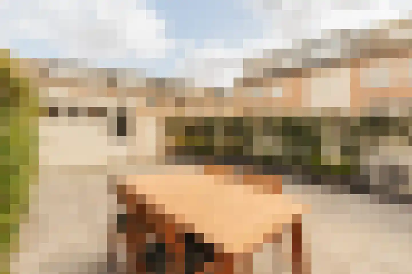 Else Mauhsstraat 23 Amstelveen thumbnail 16