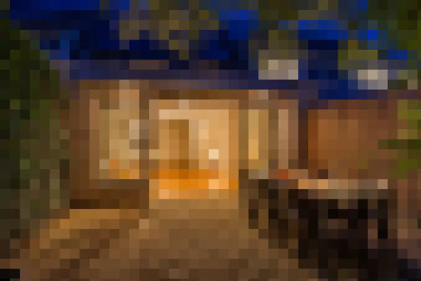 Else Mauhsstraat 23 Hengelo thumbnail 29