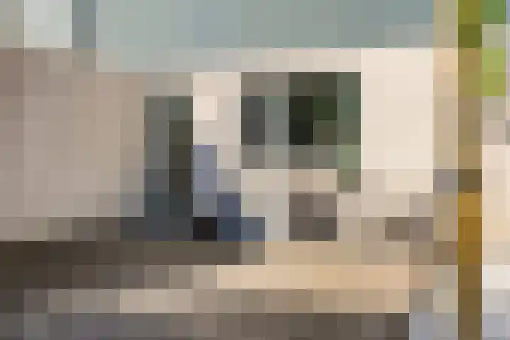 Else Mauhsstraat 47 Hengelo thumbnail 10