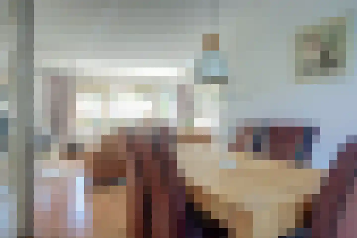 Else Mauhsstraat 6 Spijkenisse thumbnail 10