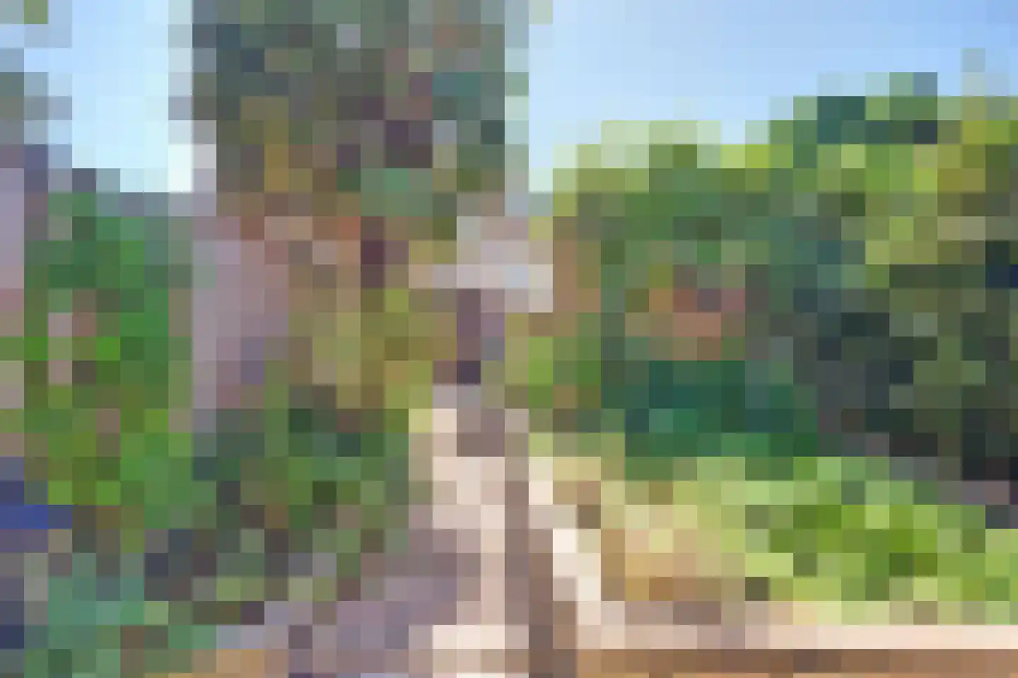 Else Mauhsstraat 6 Spijkenisse thumbnail 17