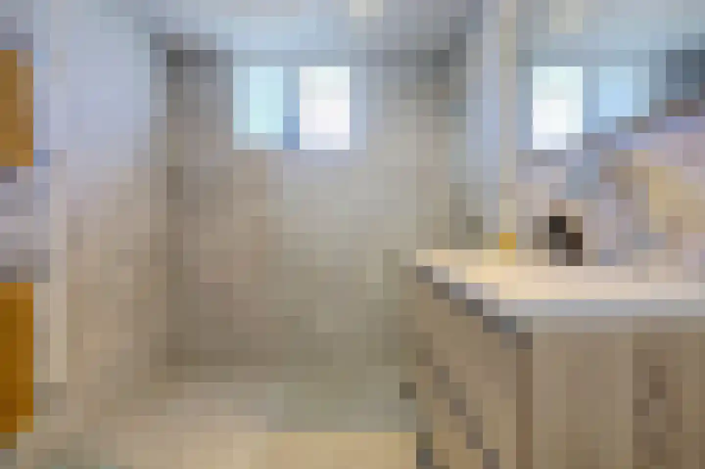 Else Mauhsstraat 6 Spijkenisse thumbnail 21