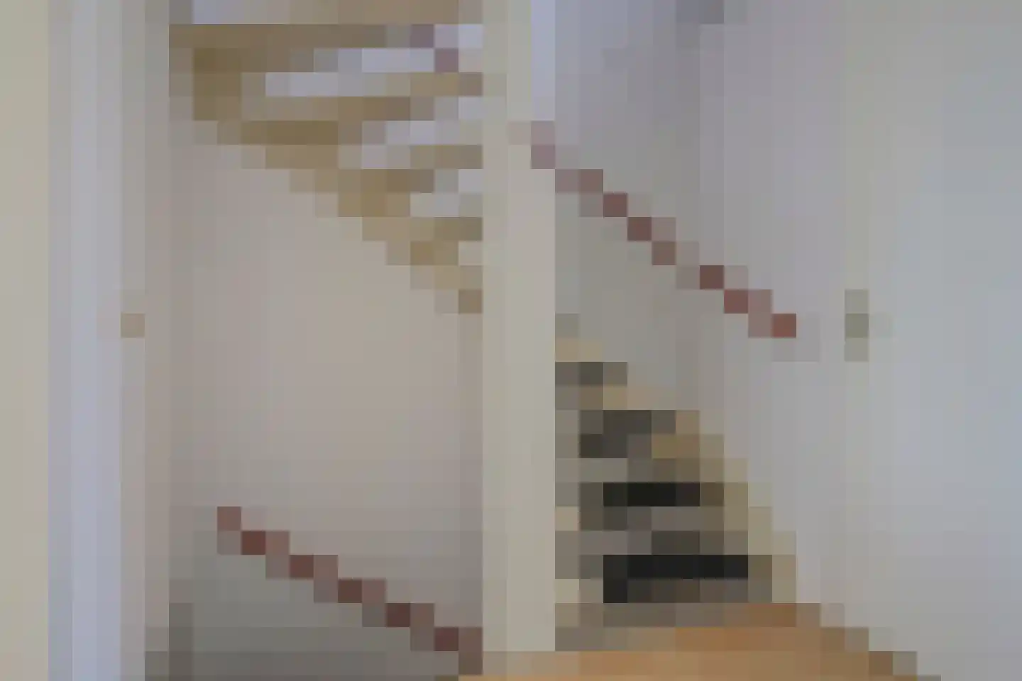 Else Mauhsstraat 6 Spijkenisse thumbnail 34