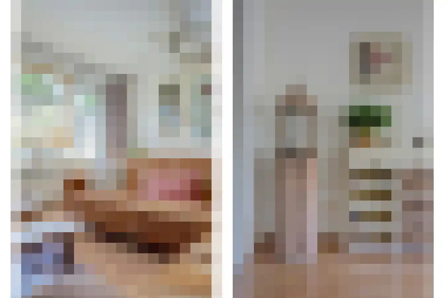 Else Mauhsstraat 6 Spijkenisse thumbnail 7