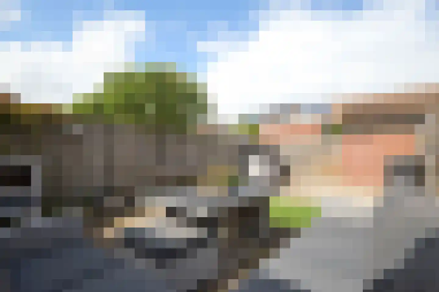 Else Mauhsstraat 7 Leiden thumbnail 36