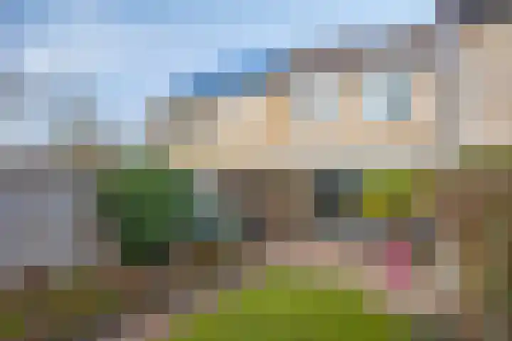 Else Mauhsstraat 81 Hengelo thumbnail 32