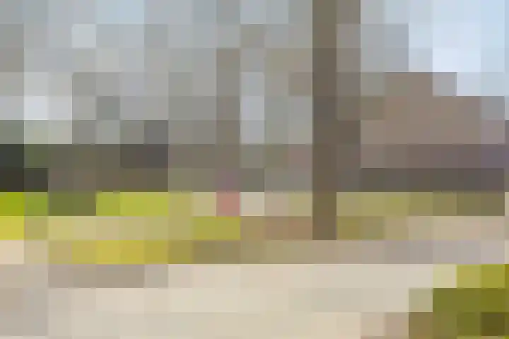 Else Mauhsstraat 81 Hengelo thumbnail 35