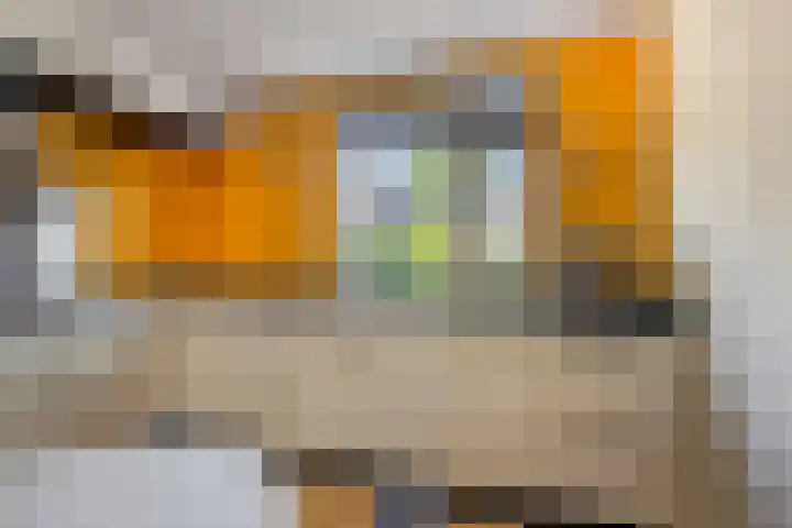 Else van den Banlaan 1 Heerhugowaard thumbnail 10