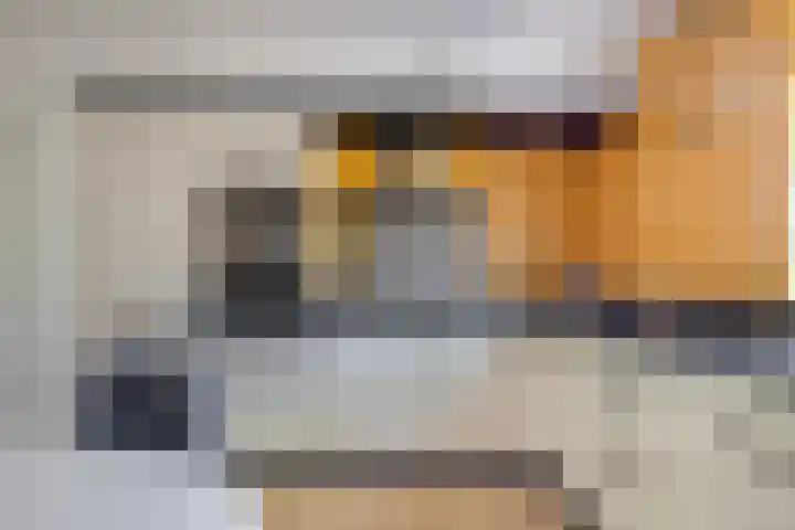 Else van den Banlaan 1 Heerhugowaard thumbnail 12