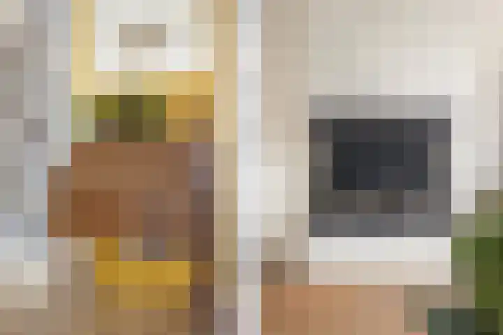 Else van den Banlaan 1 Heerhugowaard thumbnail 15