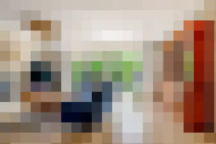 Else van den Banlaan 1 Heerhugowaard thumbnail 16