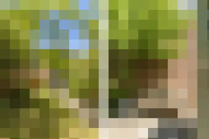 Else van den Banlaan 1 Heerhugowaard thumbnail 19