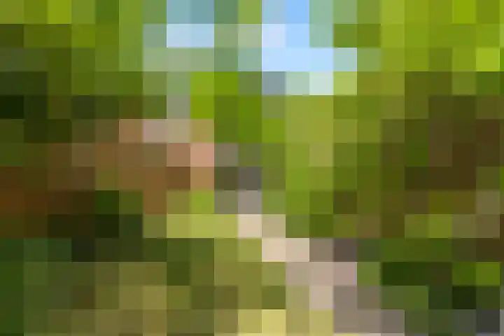 Else van den Banlaan 1 Heerhugowaard thumbnail 20