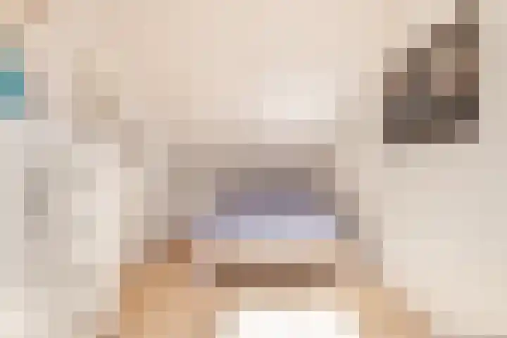 Else van den Banlaan 1 Heerhugowaard thumbnail 29
