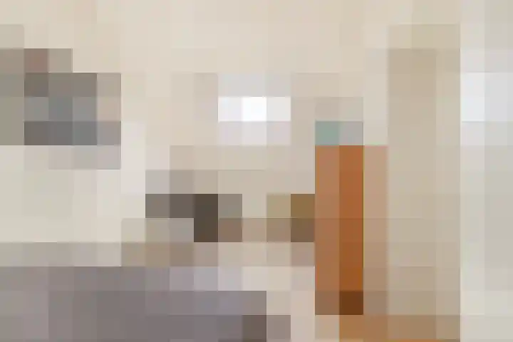 Else van den Banlaan 1 Heerhugowaard thumbnail 30