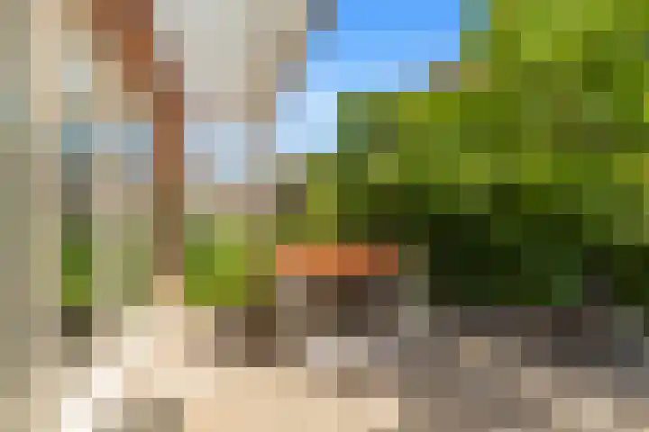 Else van den Banlaan 1 Heerhugowaard thumbnail 31