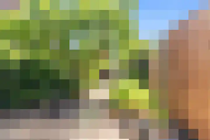 Else van den Banlaan 1 Heerhugowaard thumbnail 32