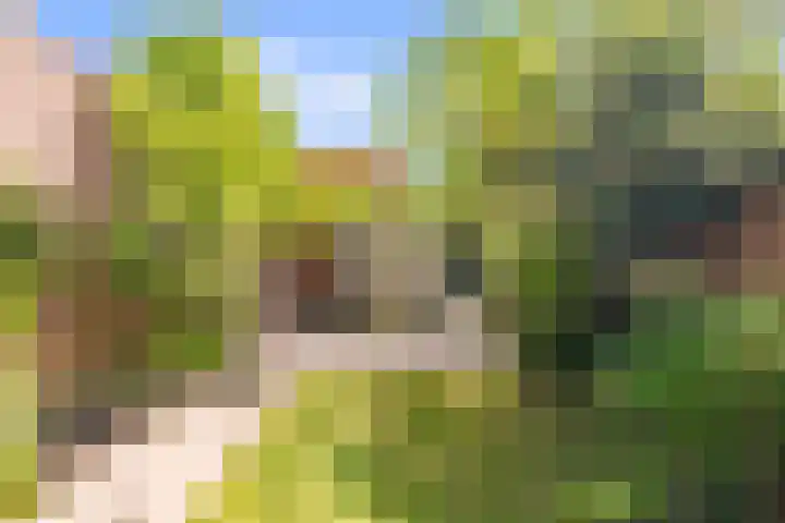 Else van den Banlaan 1 Heerhugowaard thumbnail 33