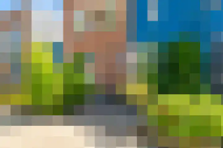 Else van den Banlaan 1 Heerhugowaard thumbnail 35
