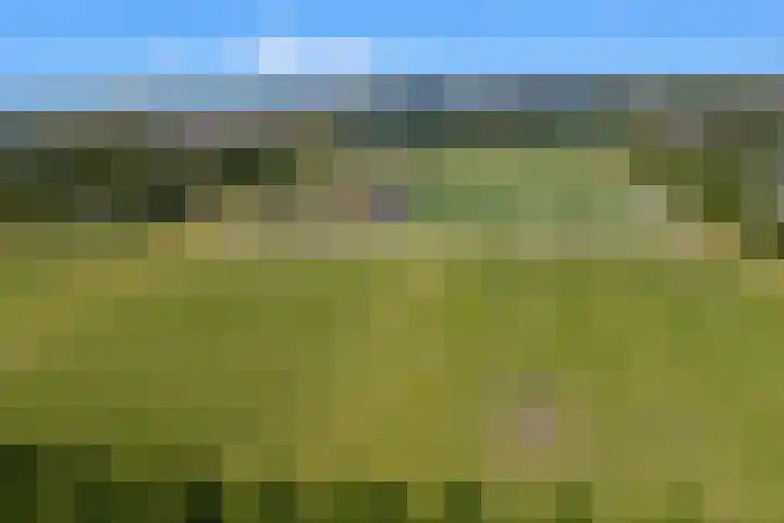Else van den Banlaan 1 Heerhugowaard thumbnail 37