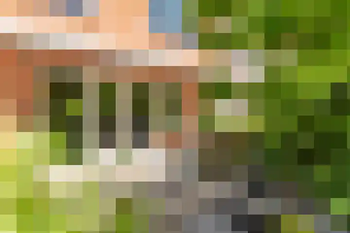 Else van den Banlaan 1 Heerhugowaard thumbnail 4