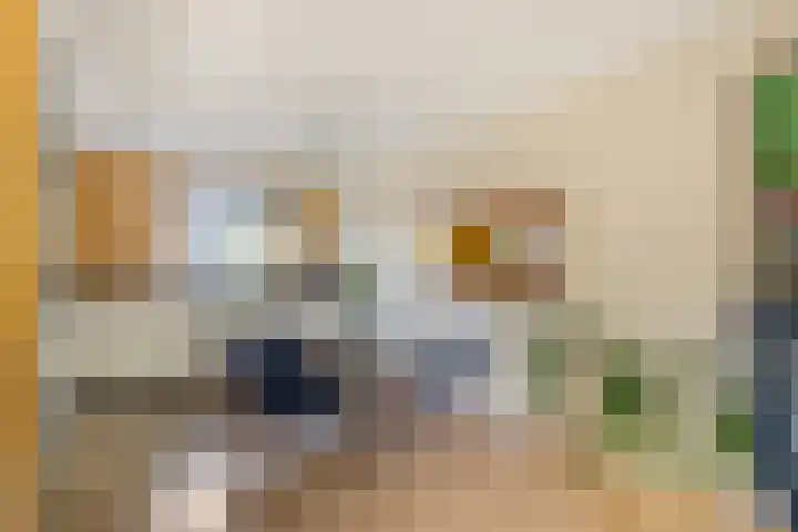 Else van den Banlaan 1 Heerhugowaard thumbnail 9