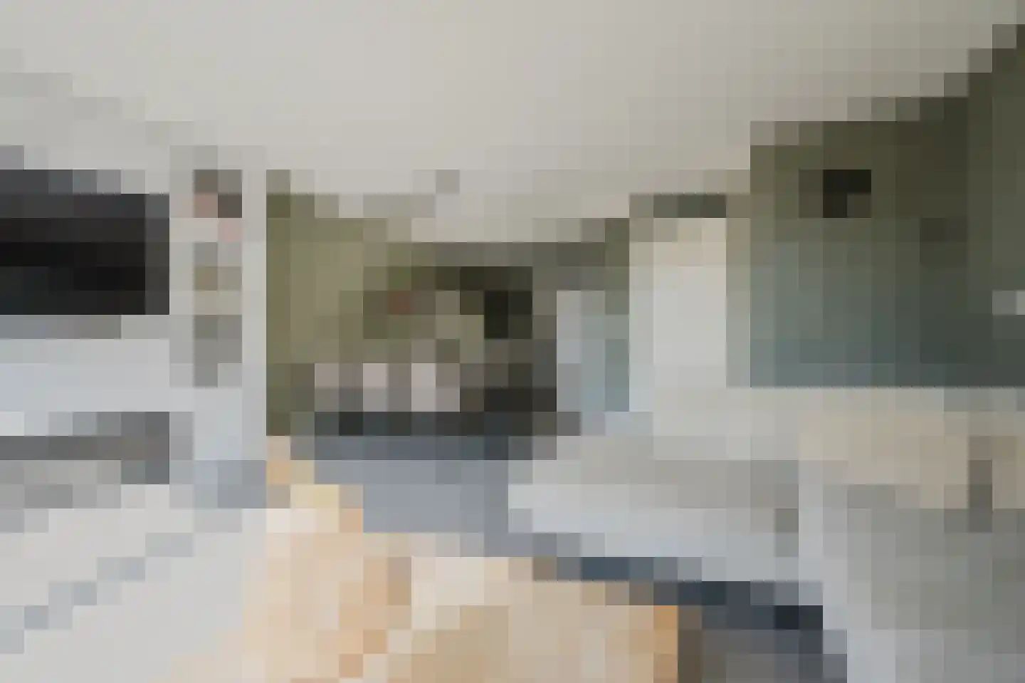 Else van der Banstraat 117 Spijkenisse thumbnail 13