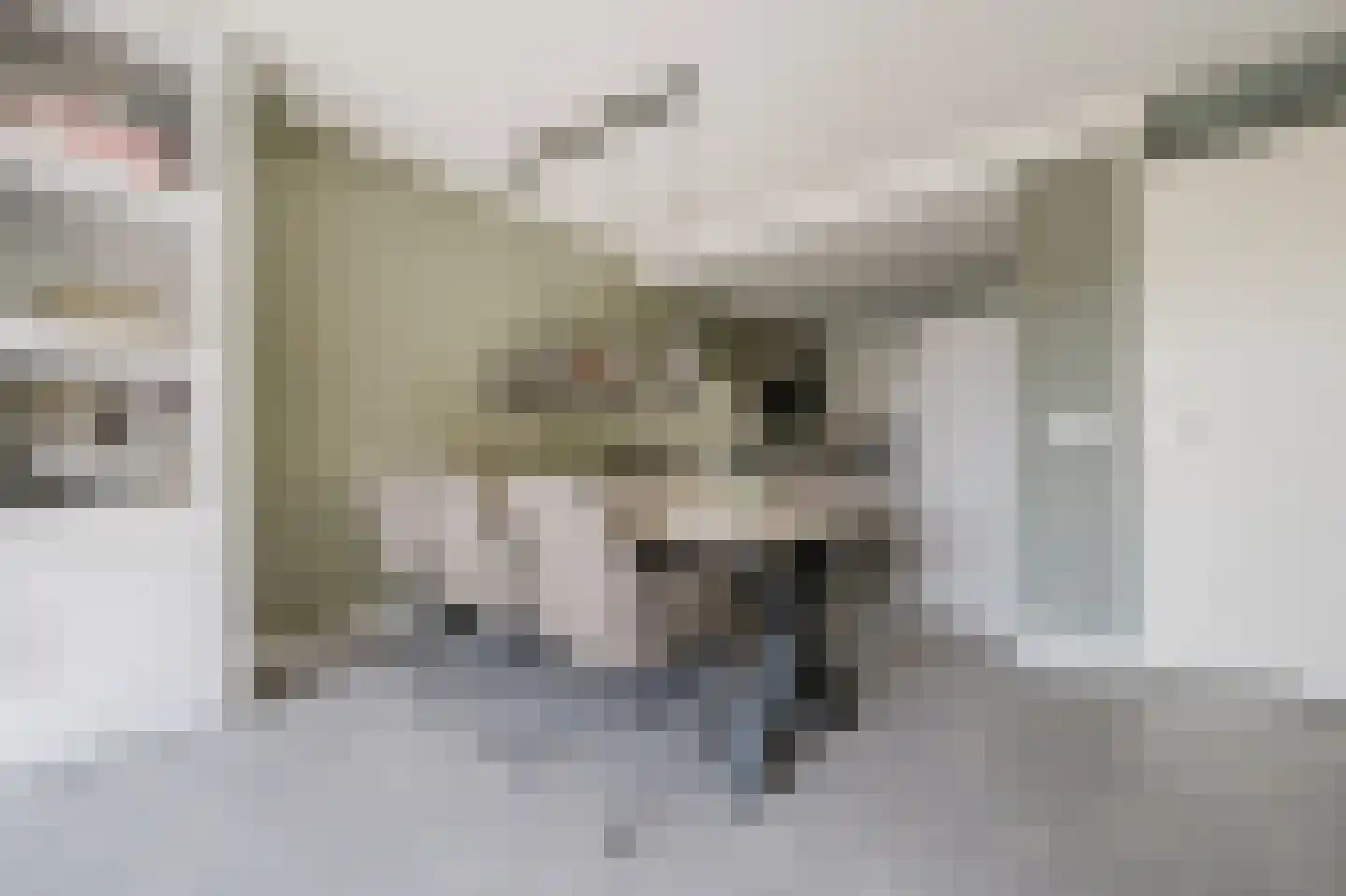 Else van der Banstraat 117 Spijkenisse thumbnail 14