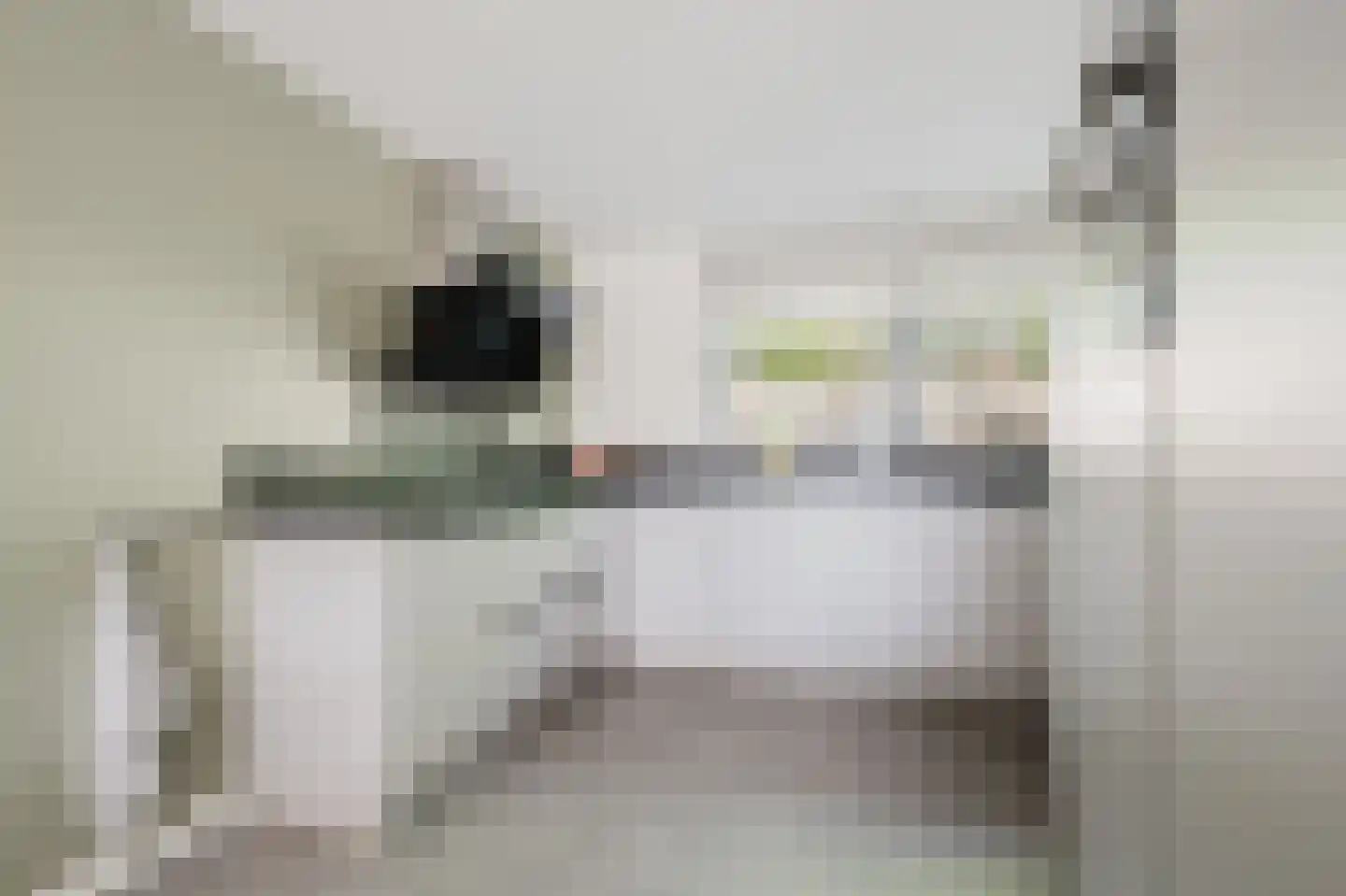 Else van der Banstraat 117 Spijkenisse thumbnail 15