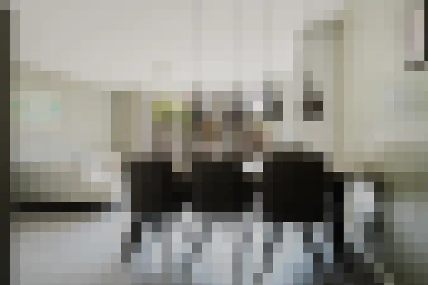 Else van der Banstraat 117 Spijkenisse thumbnail 16
