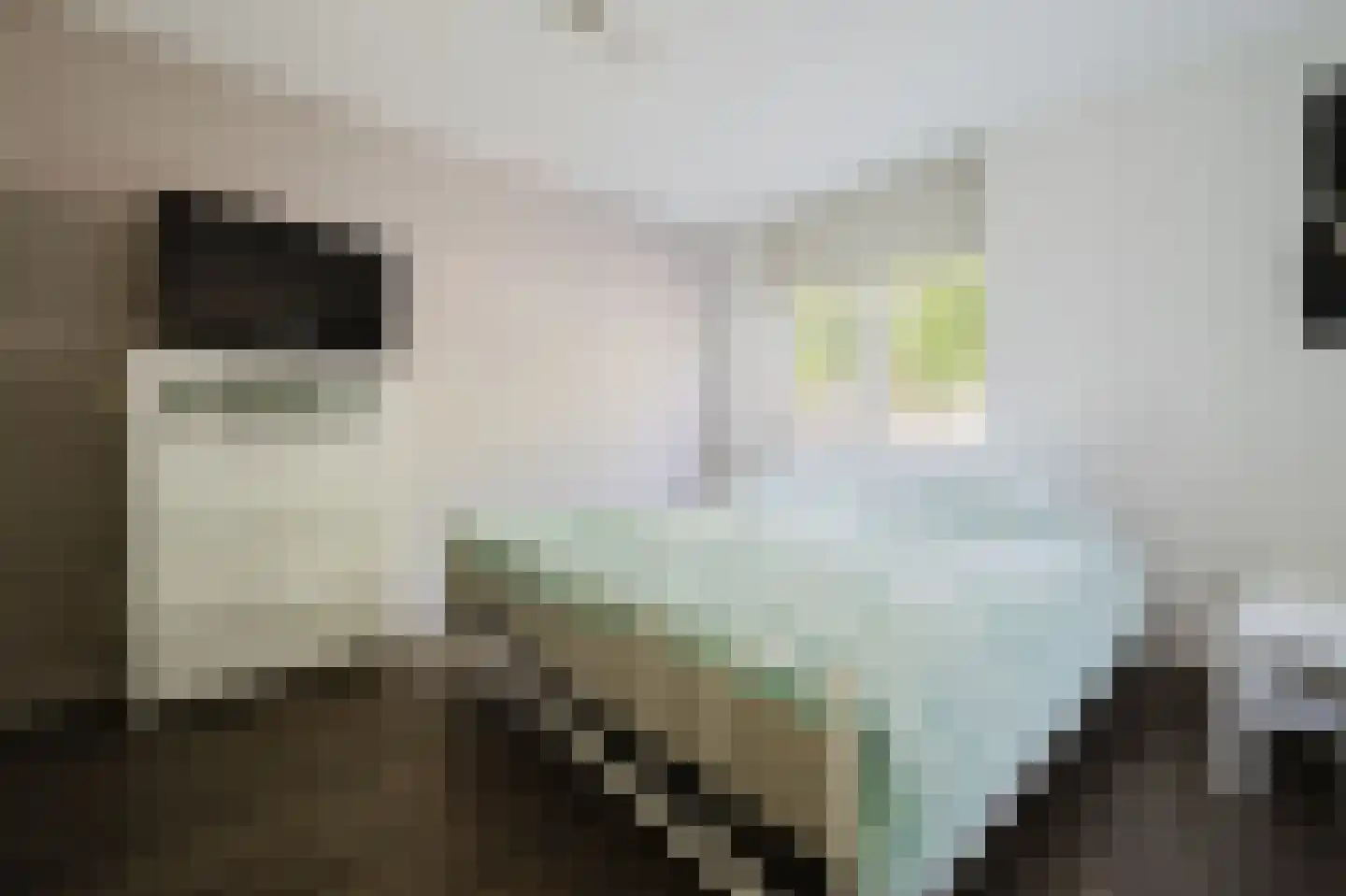 Else van der Banstraat 117 Spijkenisse thumbnail 20