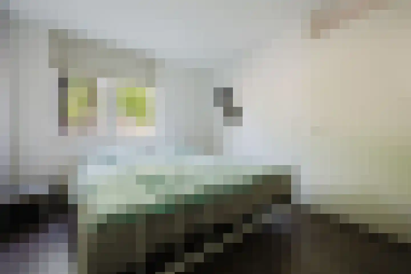 Else van der Banstraat 117 Spijkenisse thumbnail 21