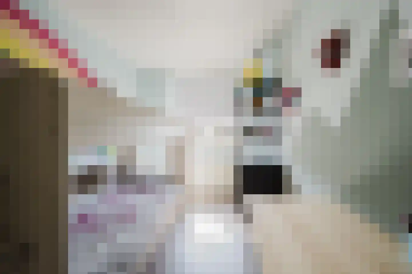 Else van der Banstraat 117 Spijkenisse thumbnail 22