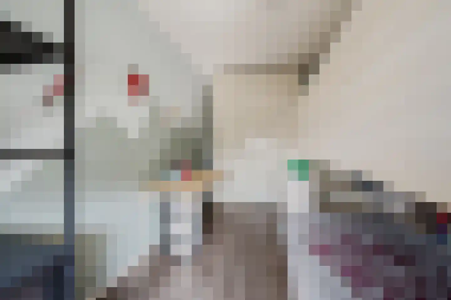 Else van der Banstraat 117 Spijkenisse thumbnail 23