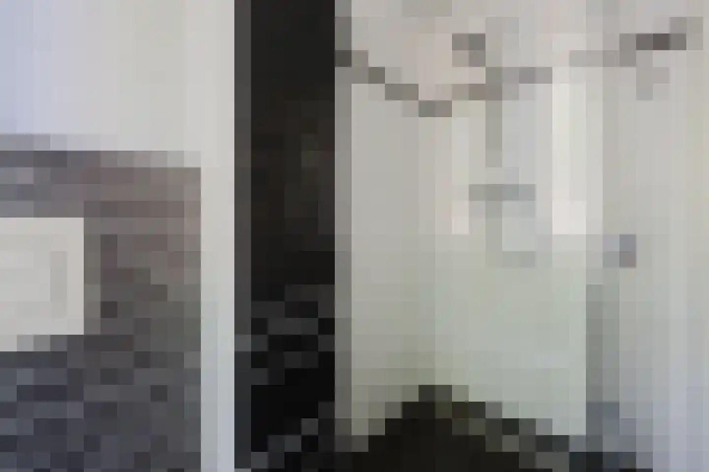 Else van der Banstraat 117 Spijkenisse thumbnail 24