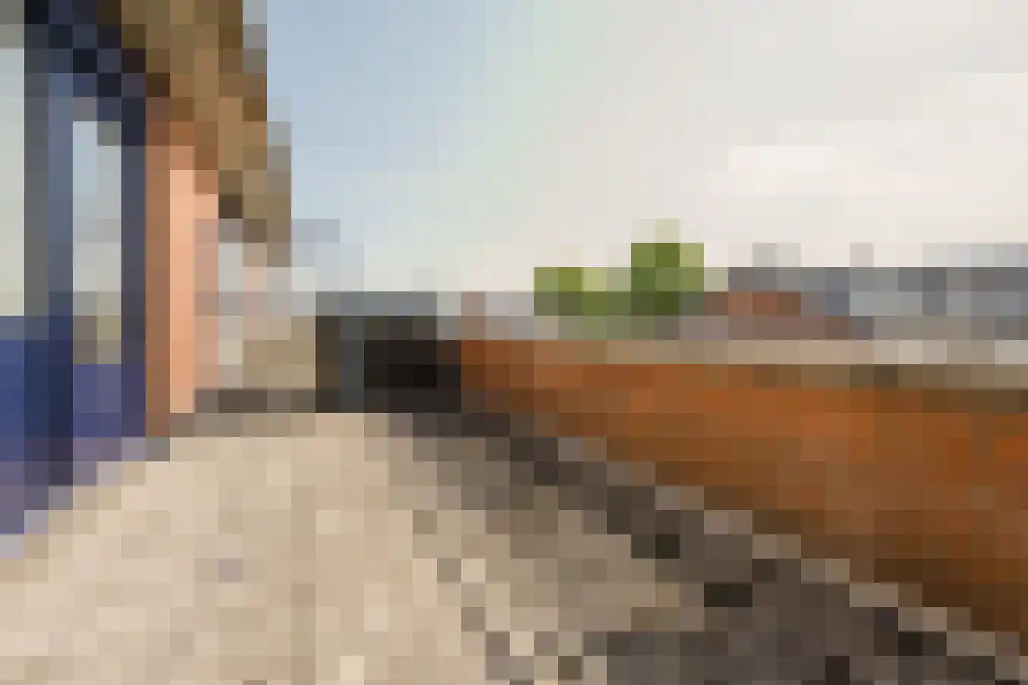 Else van der Banstraat 117 Spijkenisse thumbnail 28