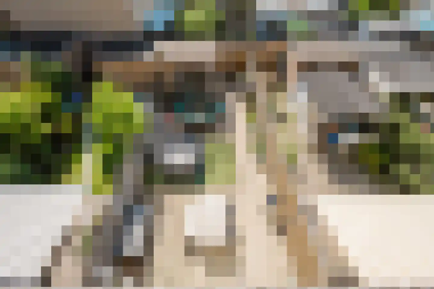 Else van der Banstraat 117 Spijkenisse thumbnail 29