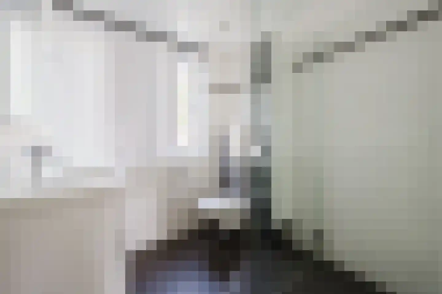 Else van der Banstraat 117 Spijkenisse thumbnail 4