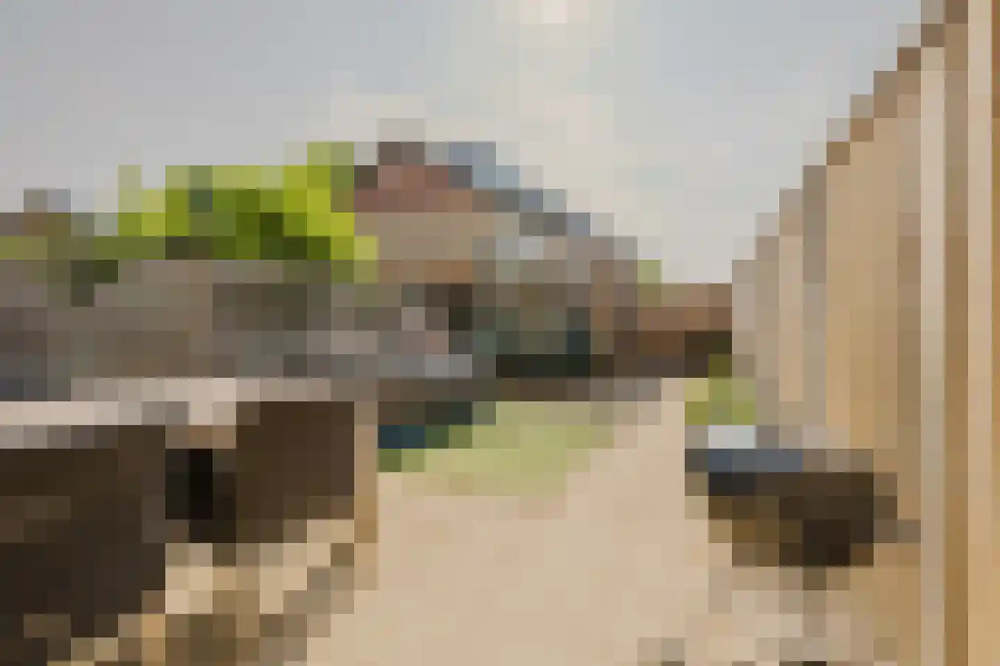 Else van der Banstraat 117 Spijkenisse thumbnail 5