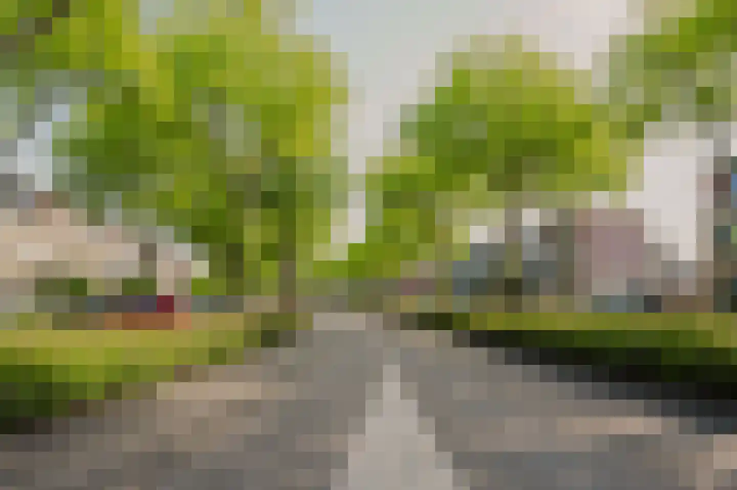 Else van der Banstraat 117 Spijkenisse thumbnail 6