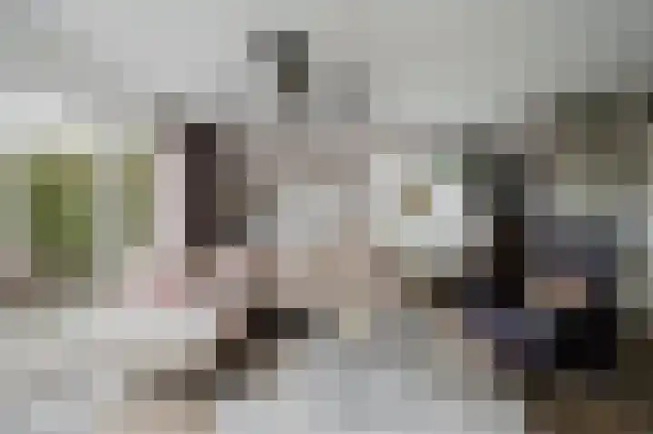 Else van der Banstraat 127 Spijkenisse thumbnail 12
