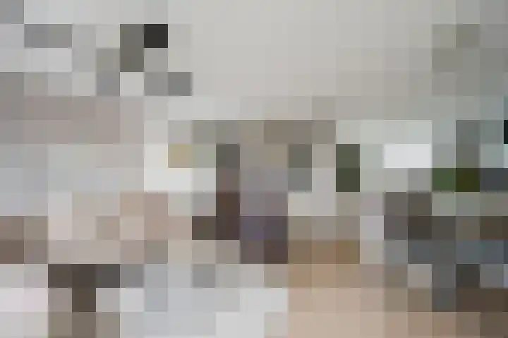 Else van der Banstraat 127 Spijkenisse thumbnail 18